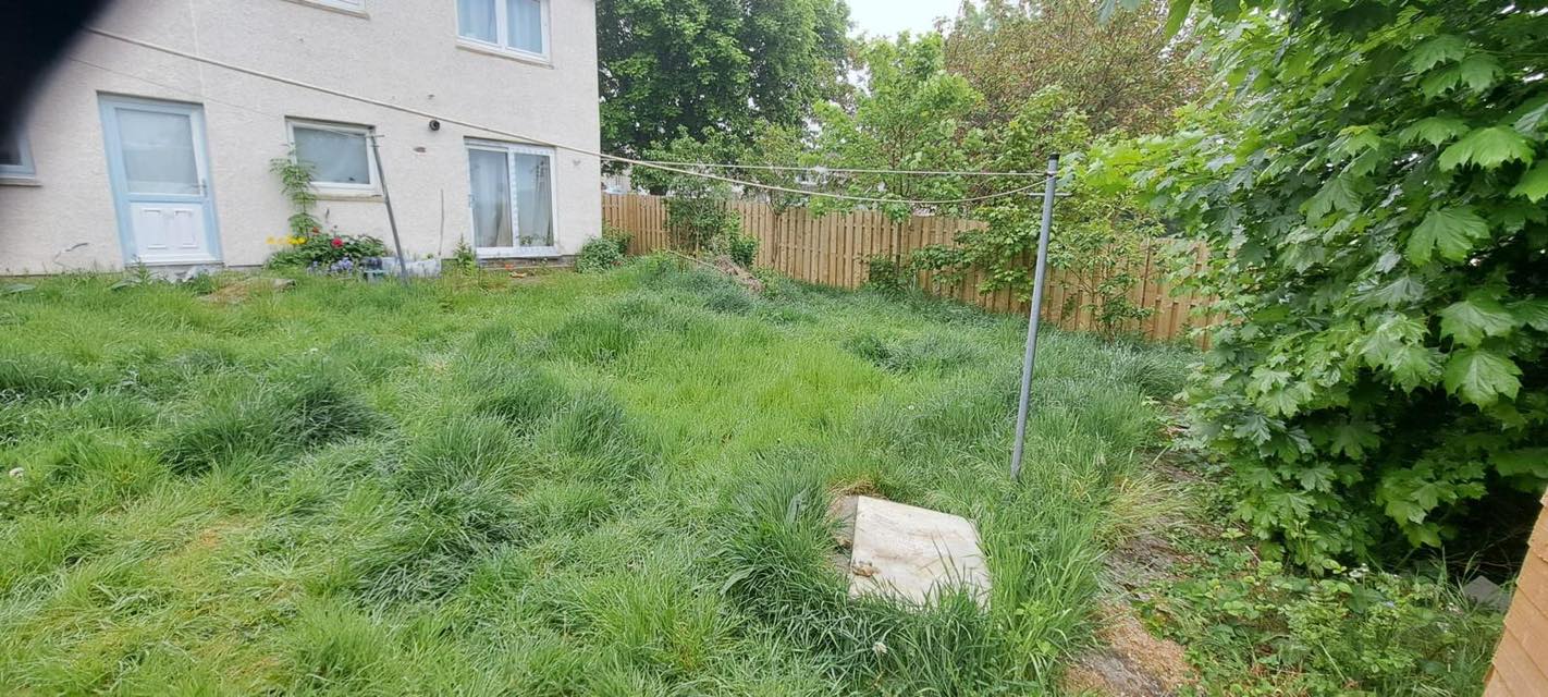 overgrown garden with thick grass
